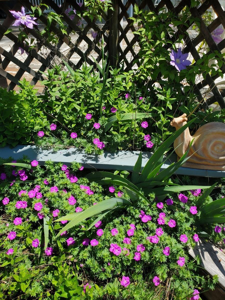 226 San Francisco Ave