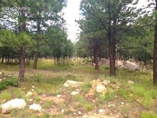 667 Silver Oak Grove
