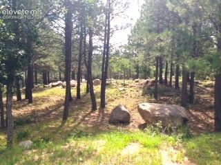 667 Silver Oak Grove