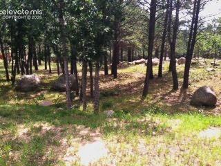 667 Silver Oak Grove