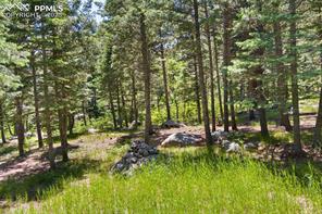5070 Broadlake View