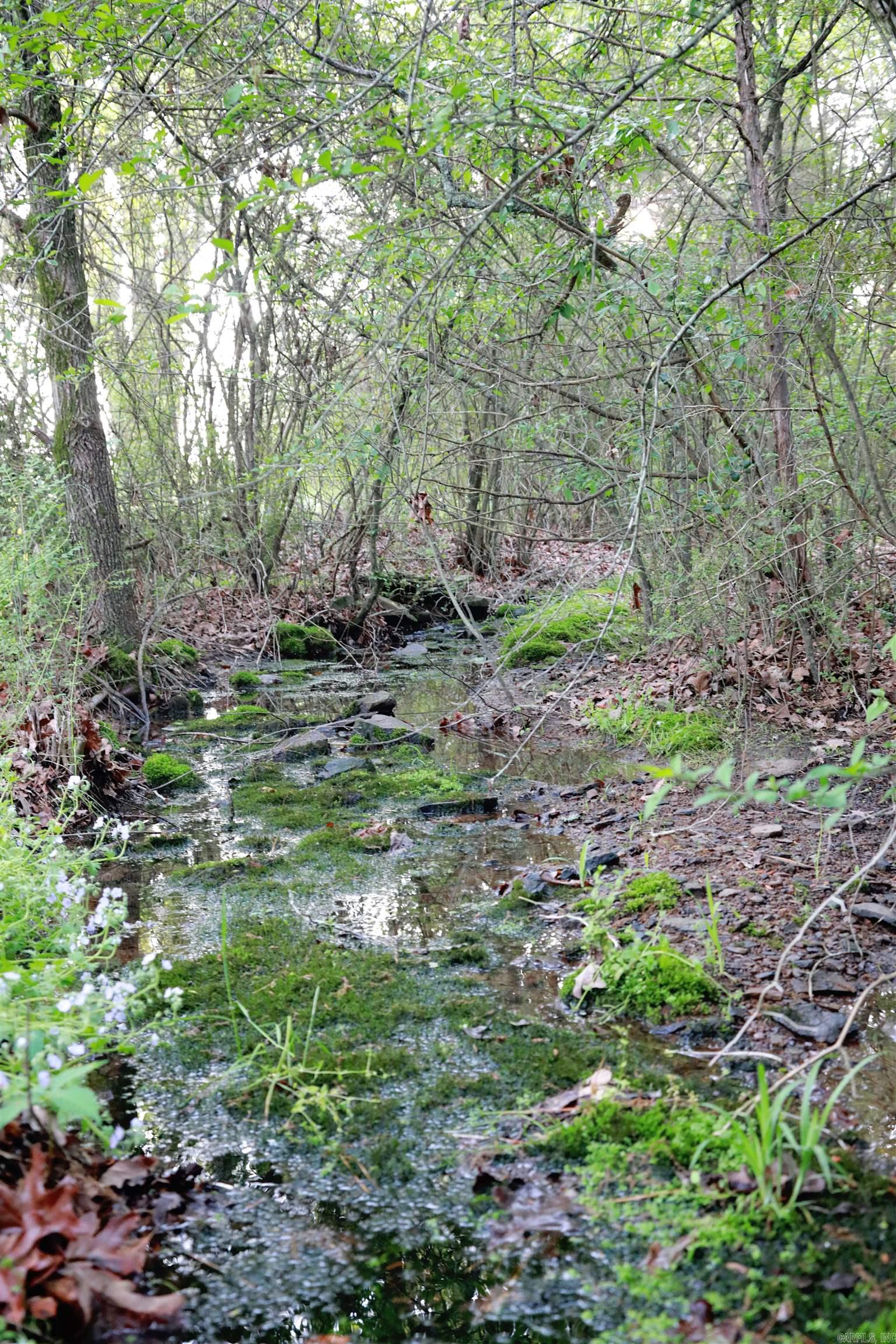 231 Copperas Spring Road