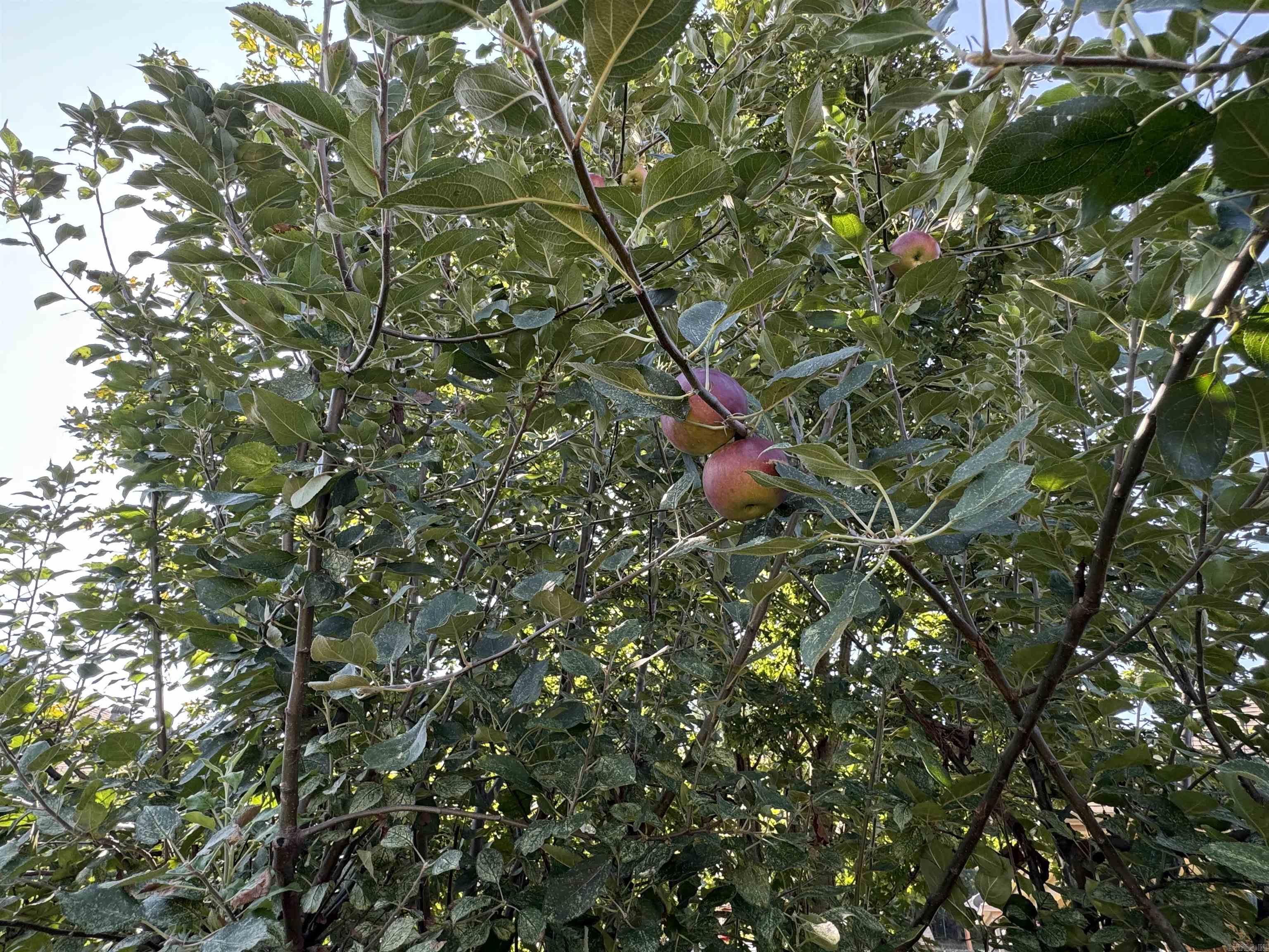 600 Samuel Loyce Drive