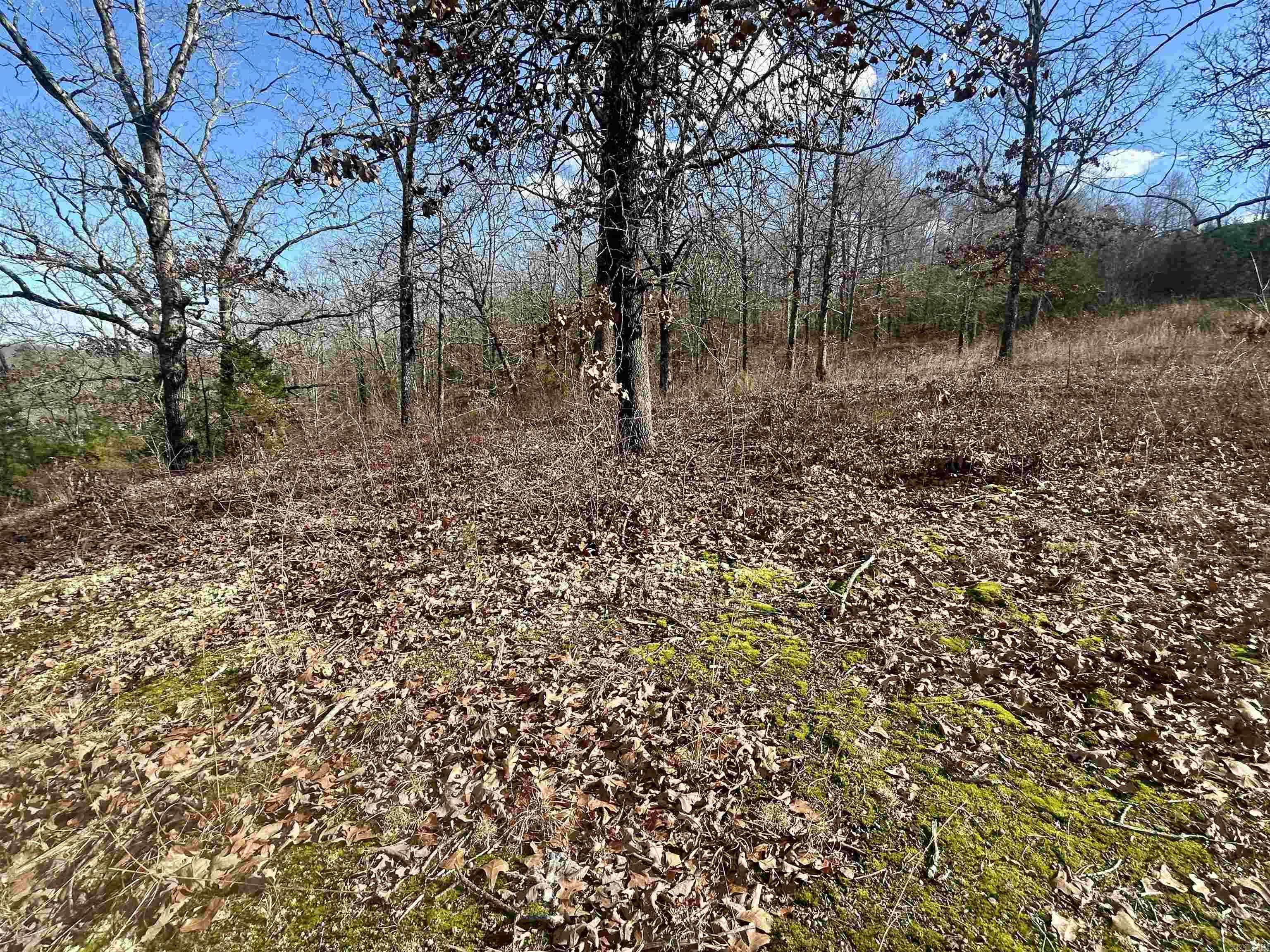 Lot 24 Lakeridge Estates