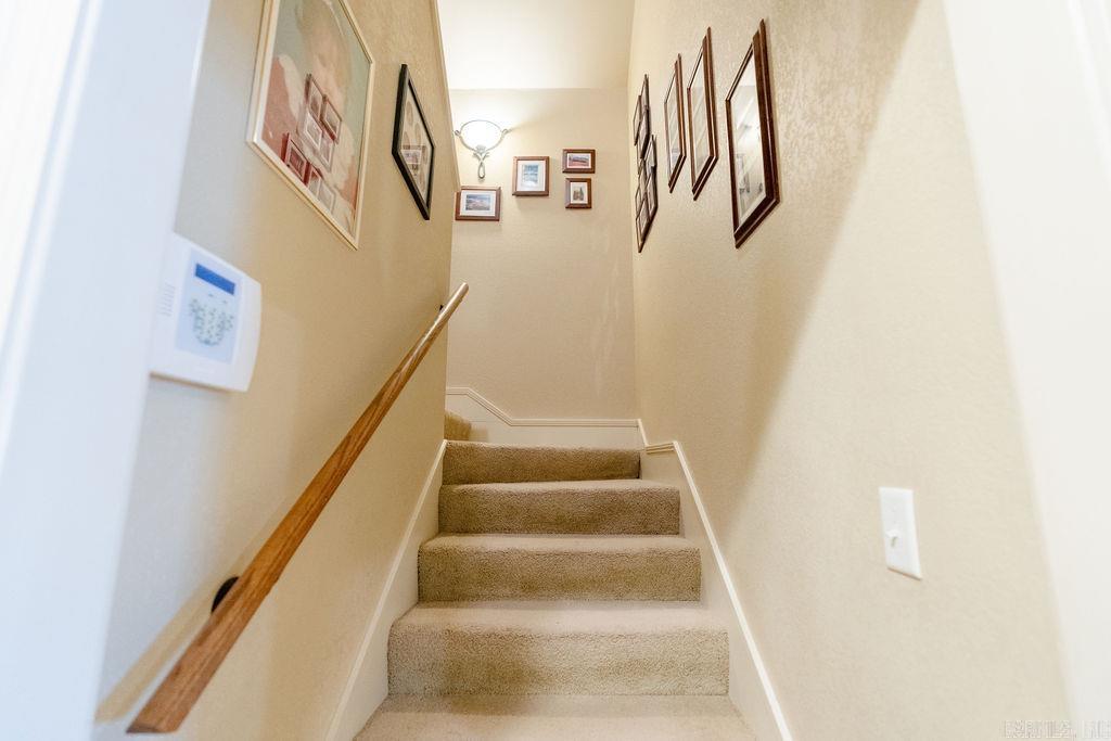 3206 Saddlebrook Drive