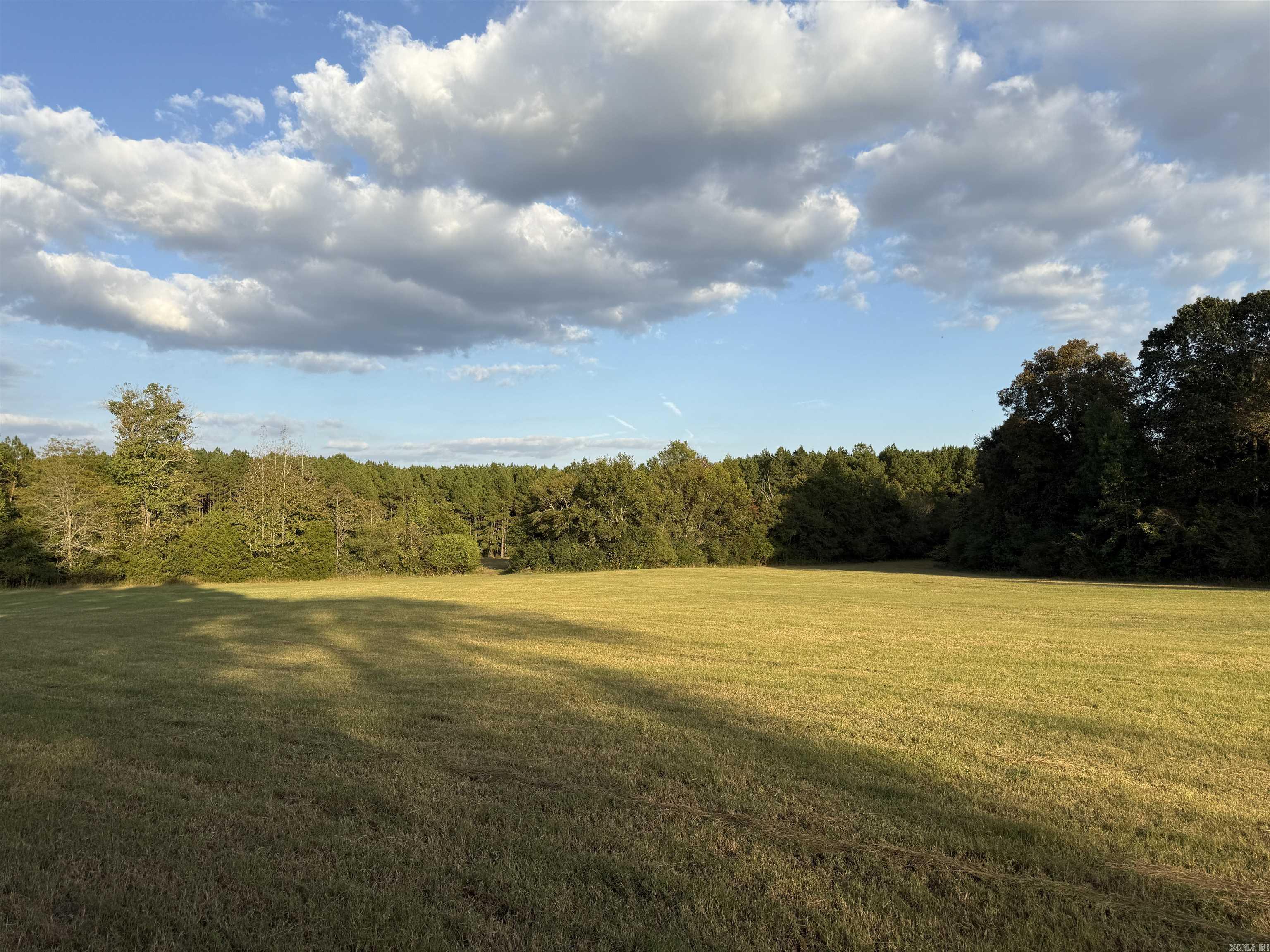 244 Denison Rd.