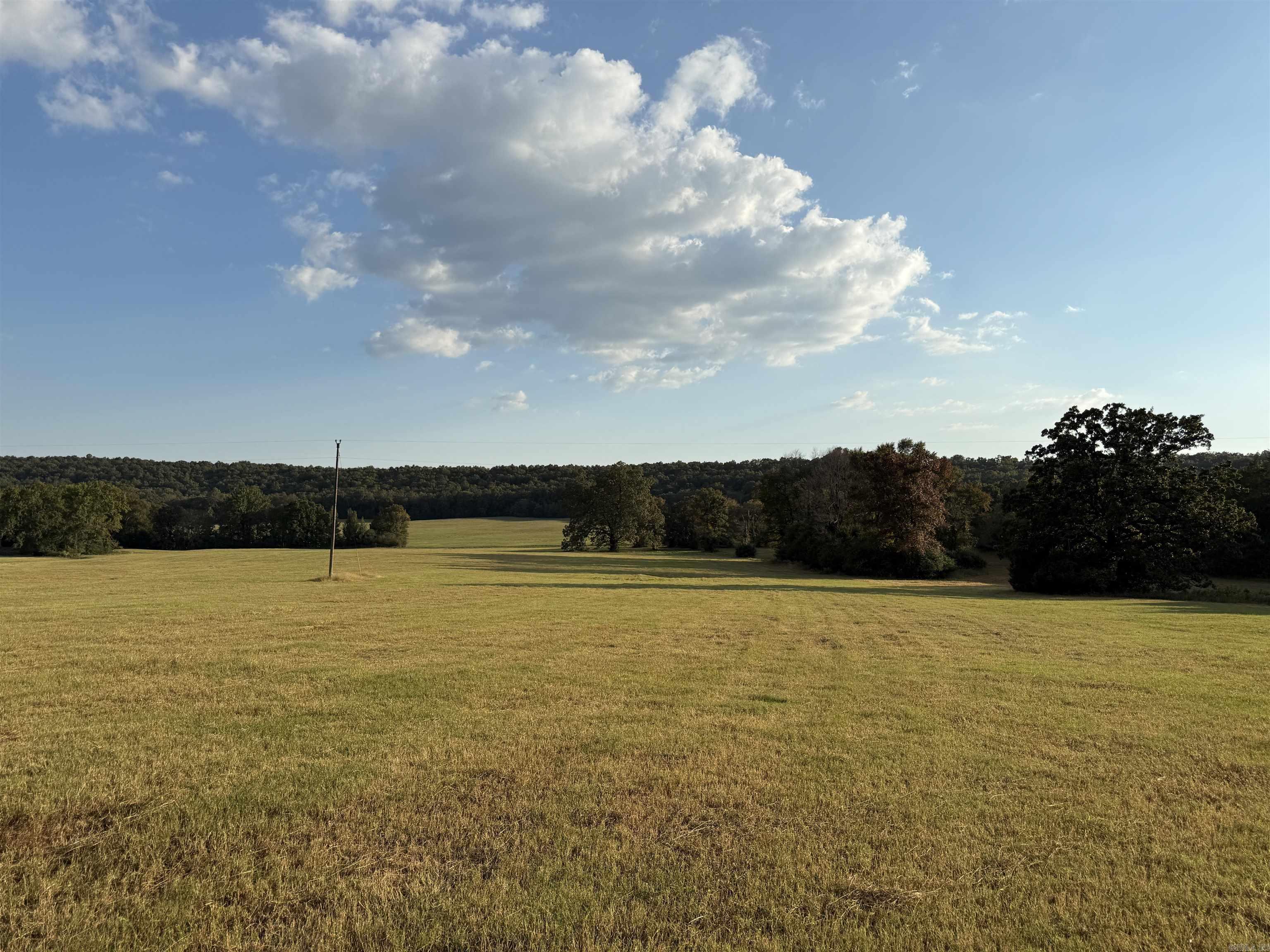 244 Denison Rd.