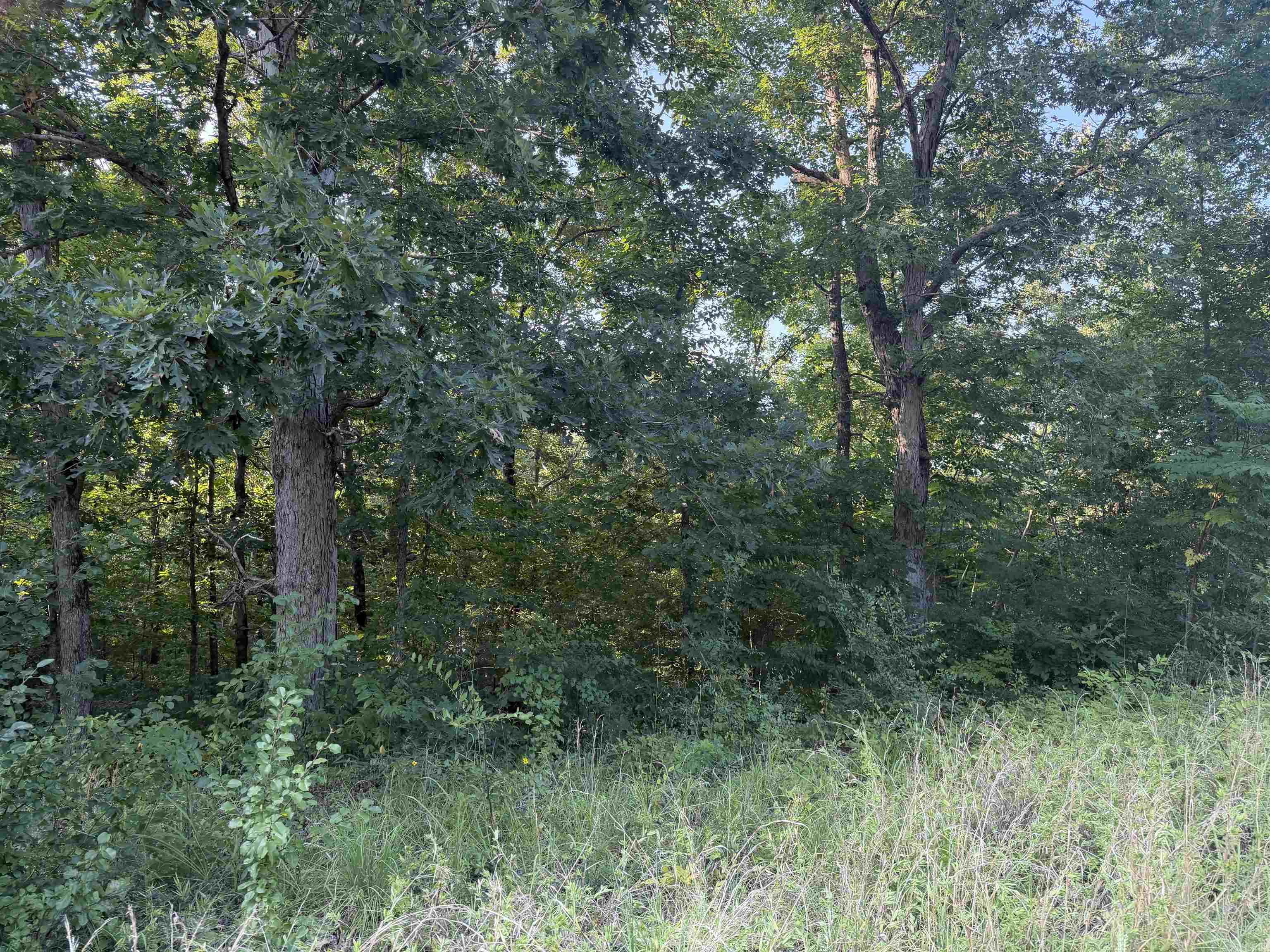 000 Lale Ridge Estates
