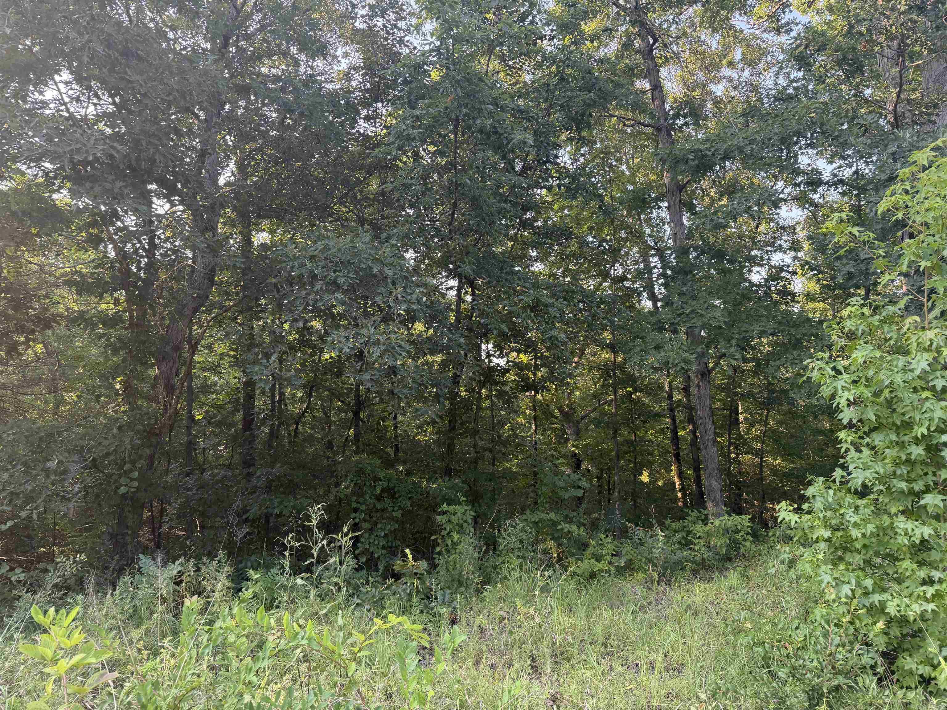 000 Lale Ridge Estates