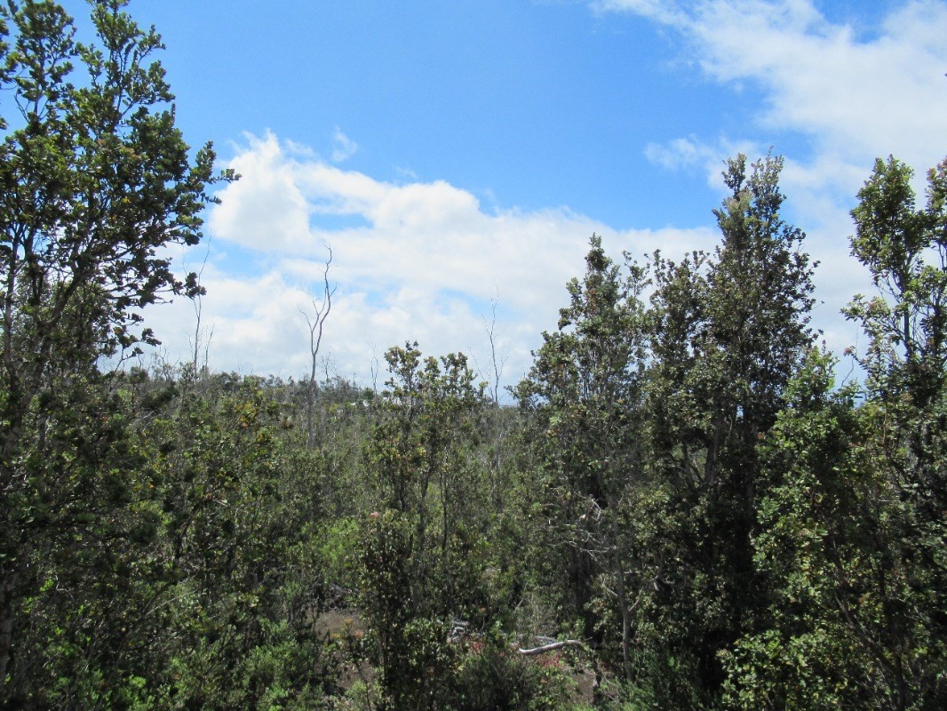 92-9214 PARADISE PKWY