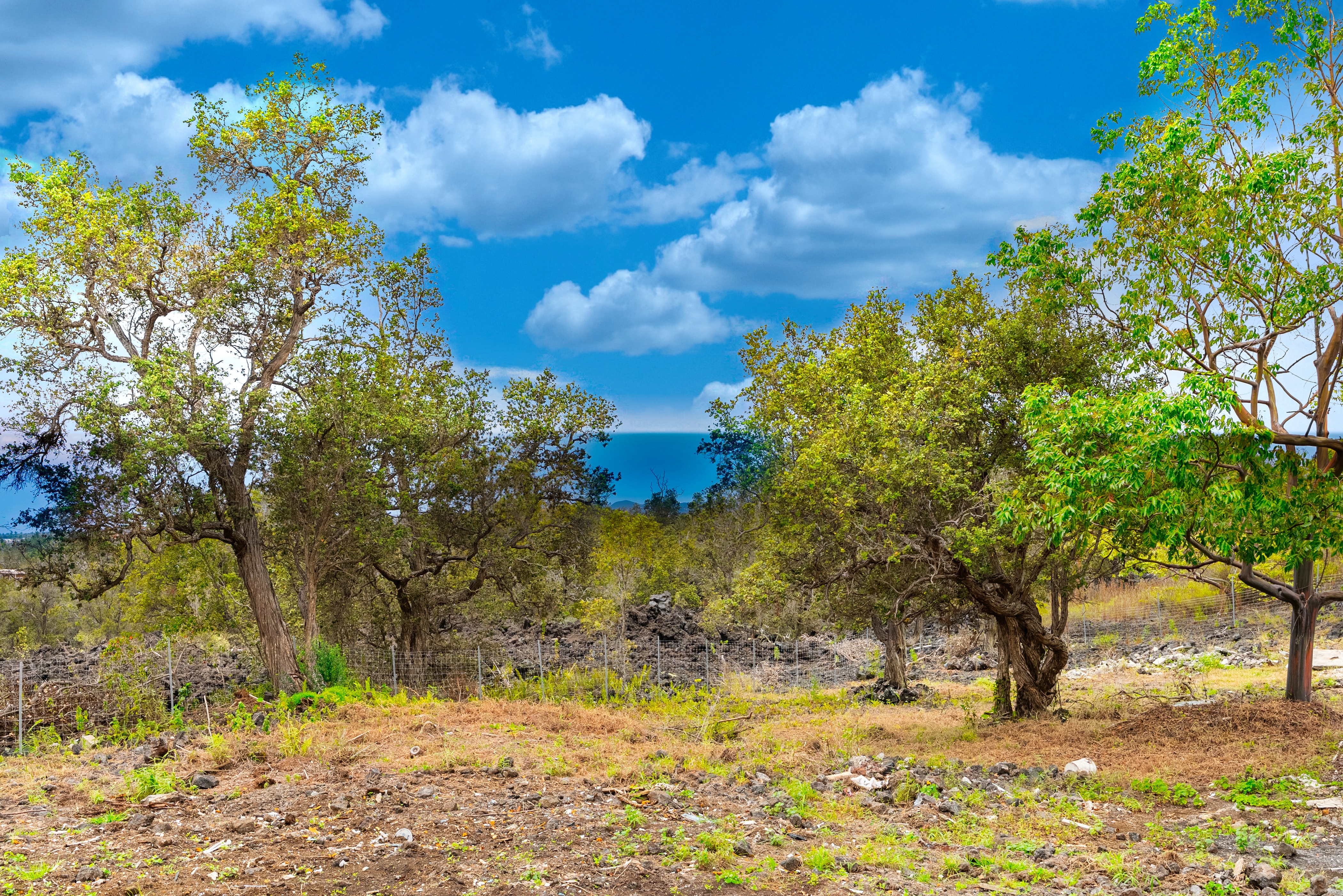 92-9043 LEILANI PKWY