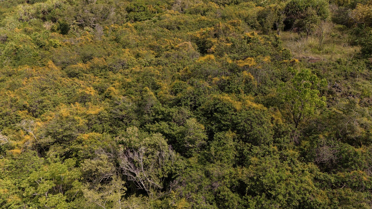 87-2721 HAWAII BELT RD