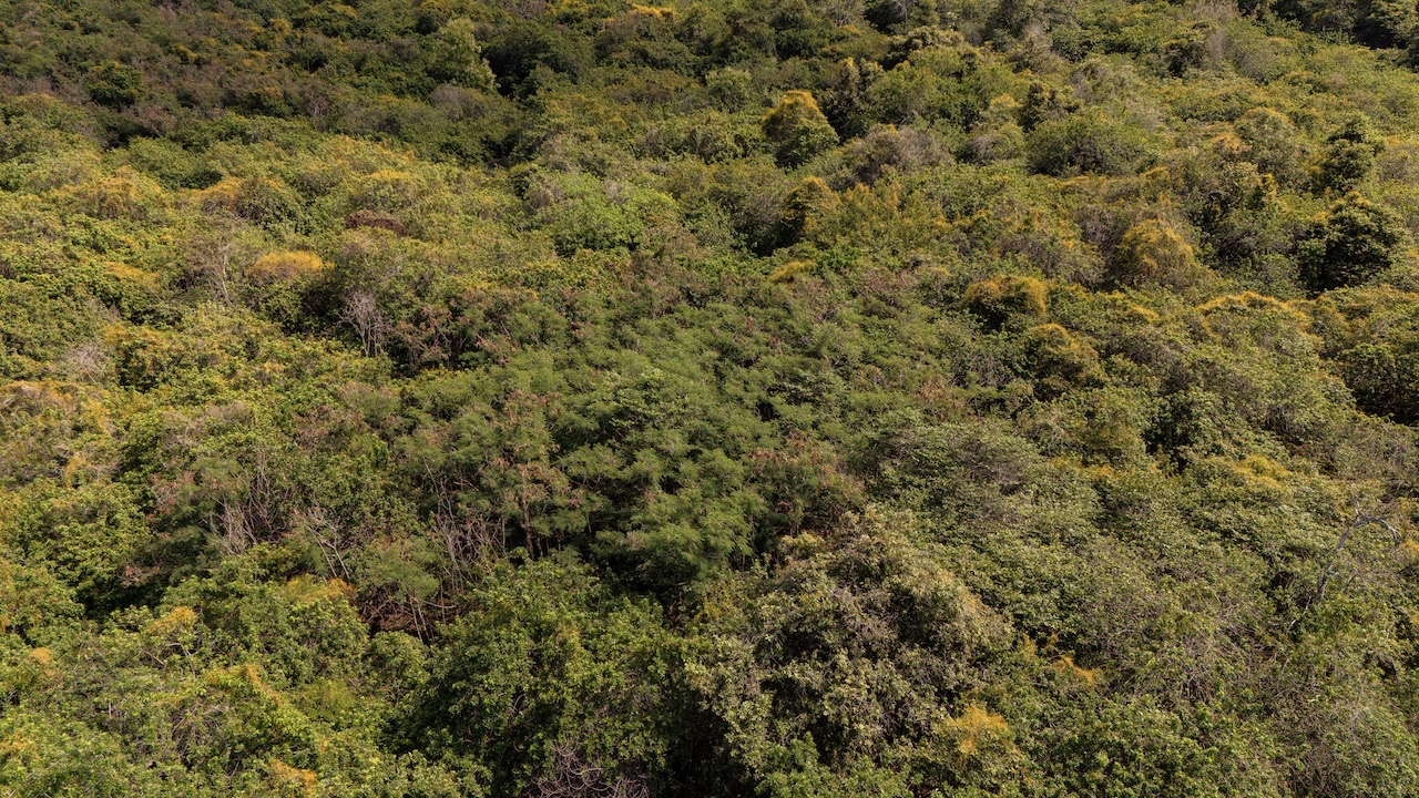 87-2721 HAWAII BELT RD