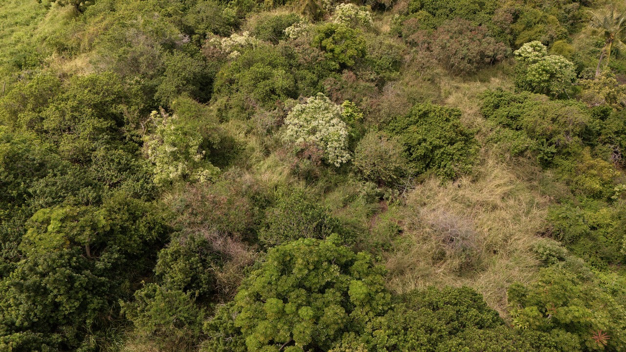 87-2721 HAWAII BELT RD