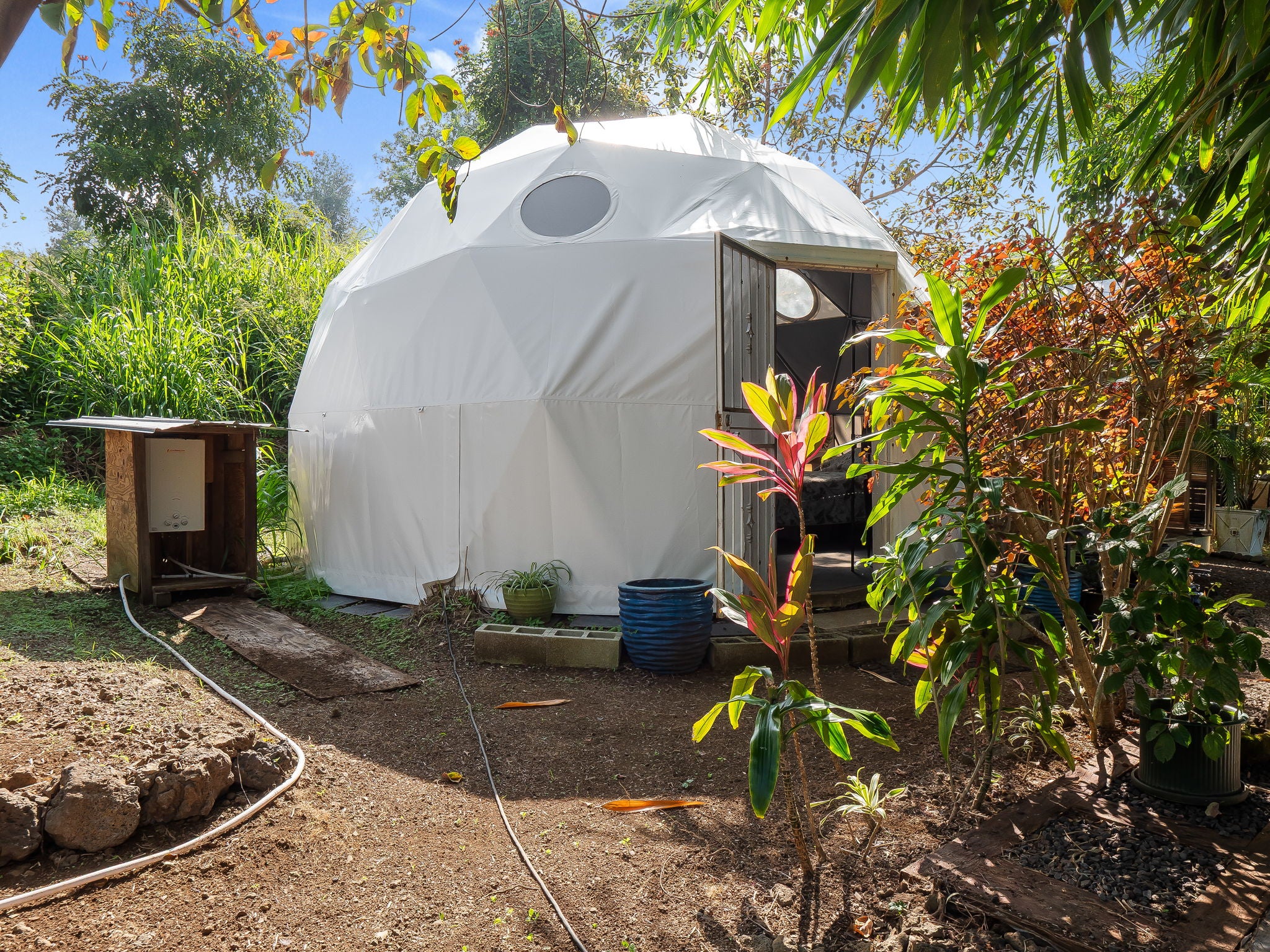 White geodesic dome dwelling with an open entrance amid lush tropical landscaping.