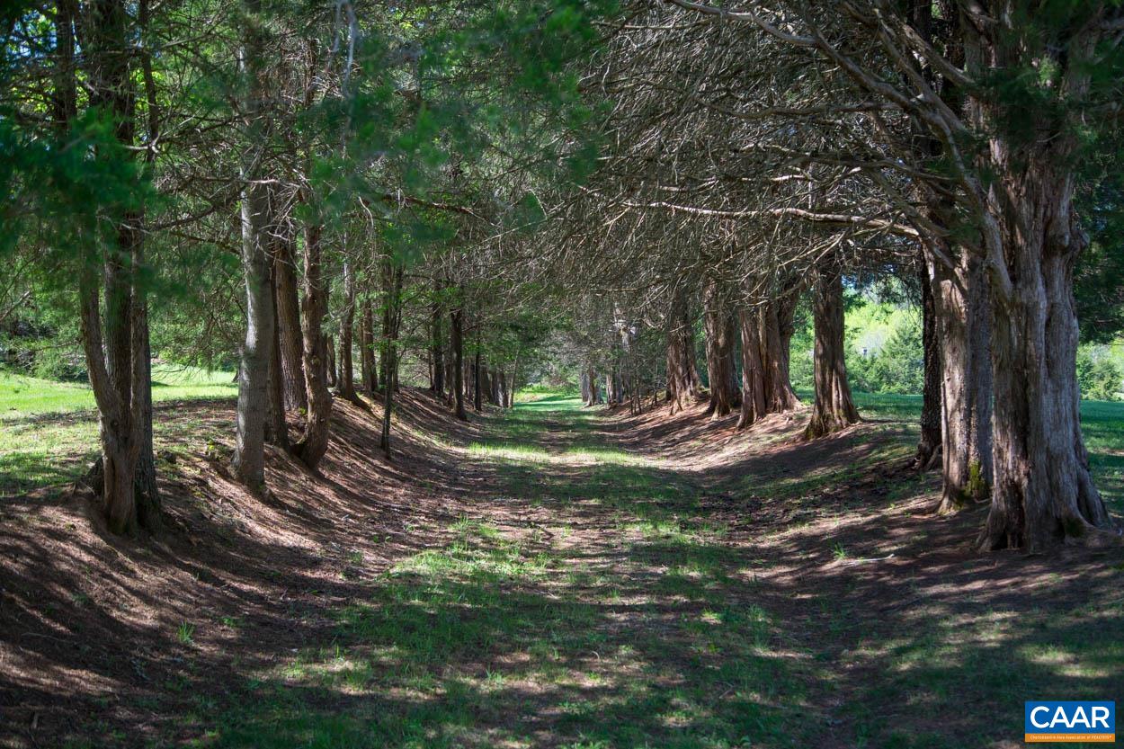 818 ENNIS MOUNTAIN RD