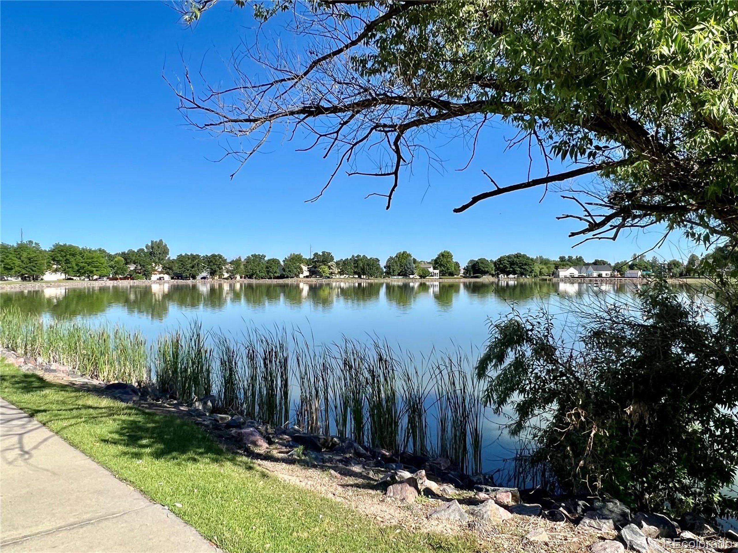 12907 Lafayette St G