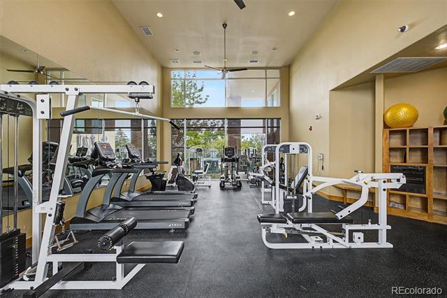 10184 Park Meadows Drive Unit: 1206