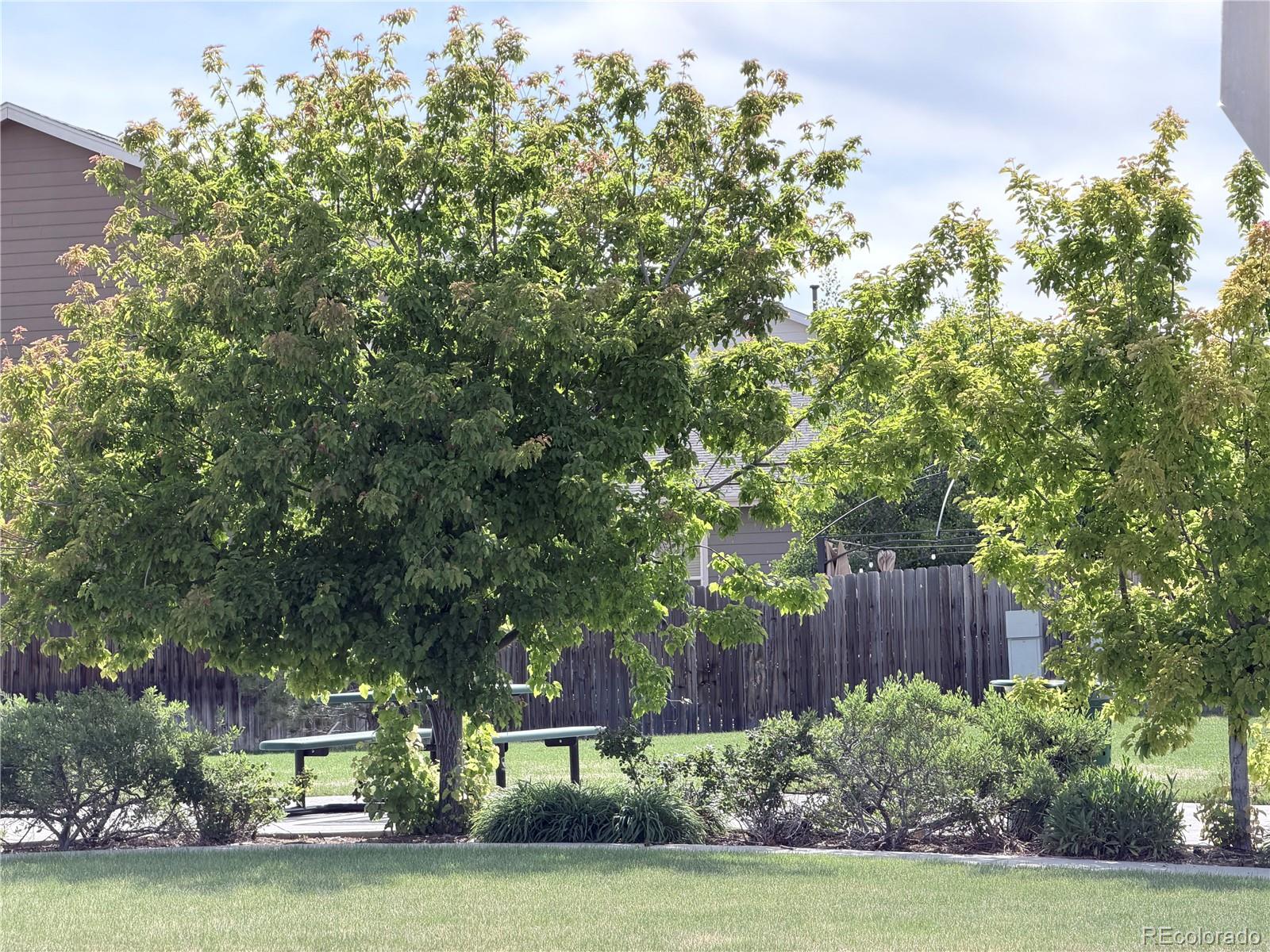 575 Solano Drive