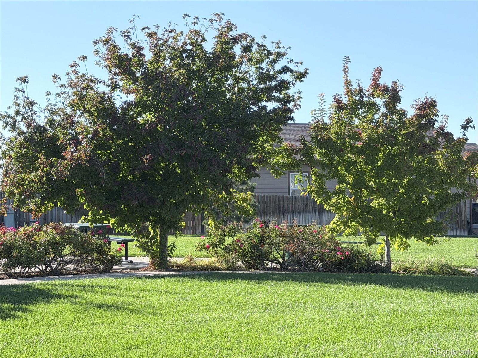 575 Solano Drive