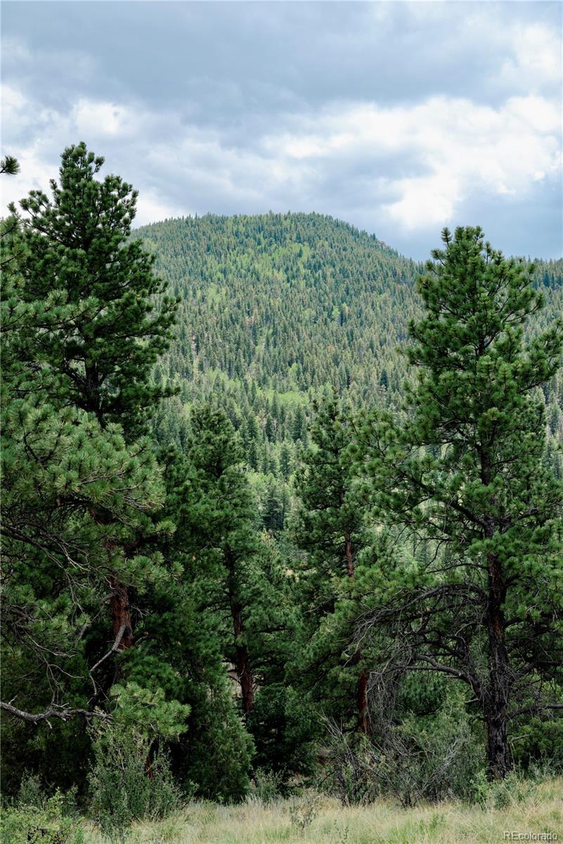 000 Hidden Wilderness Road