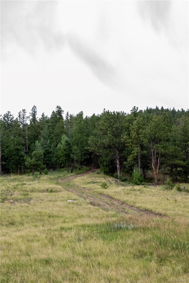 000 Hidden Wilderness Road