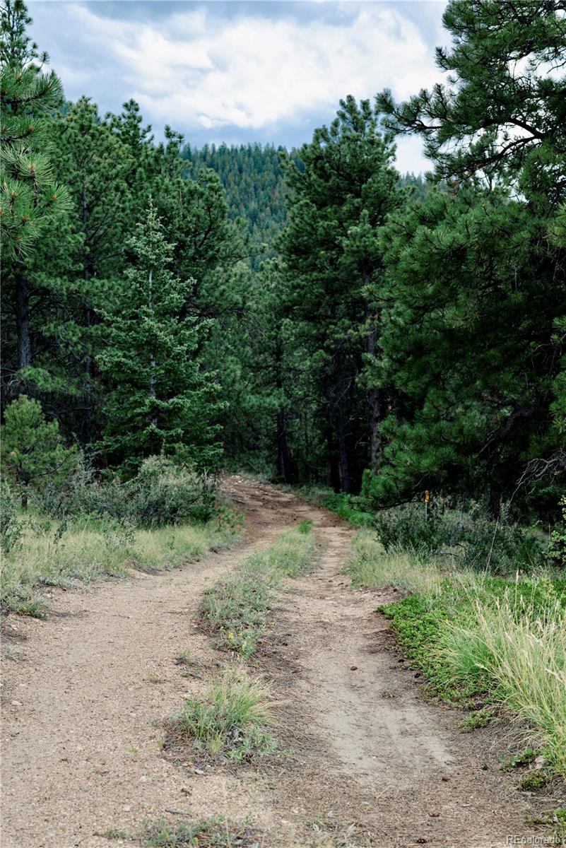 000 Hidden Wilderness Road