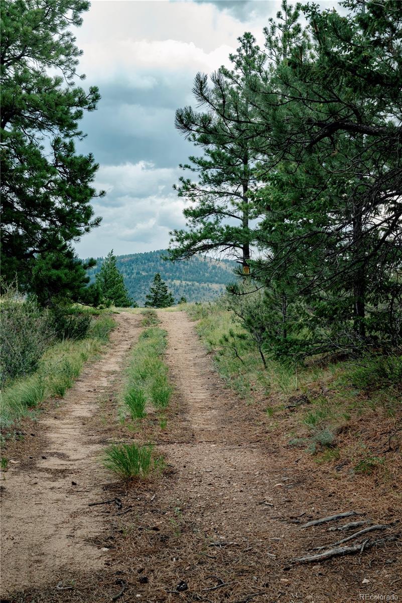 000 Hidden Wilderness Road