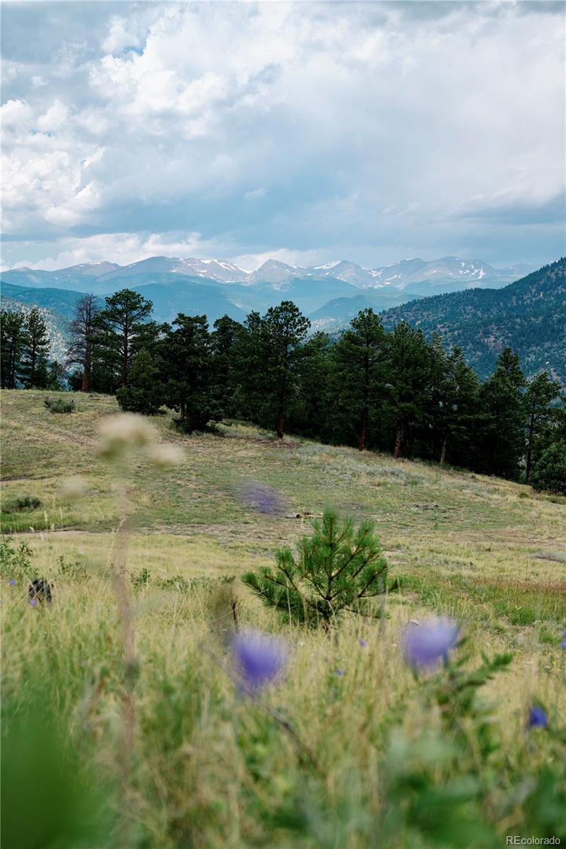 000 Hidden Wilderness Road