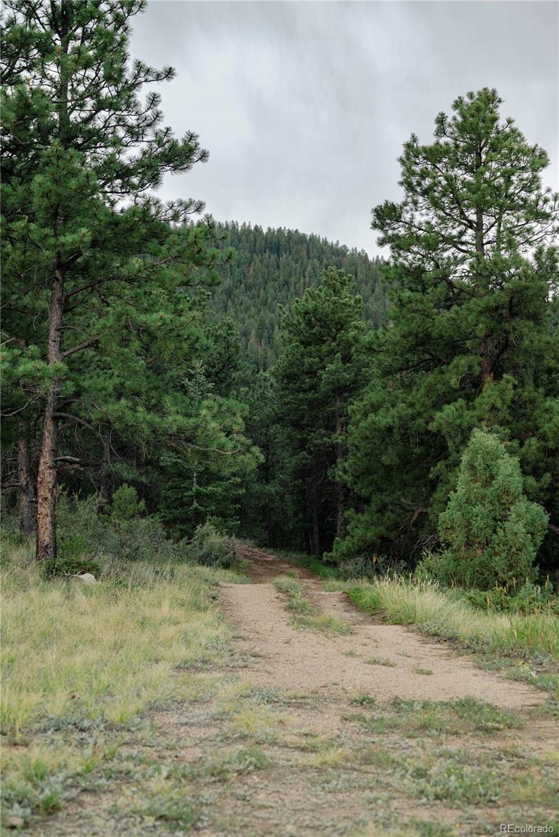 000 Hidden Wilderness Road