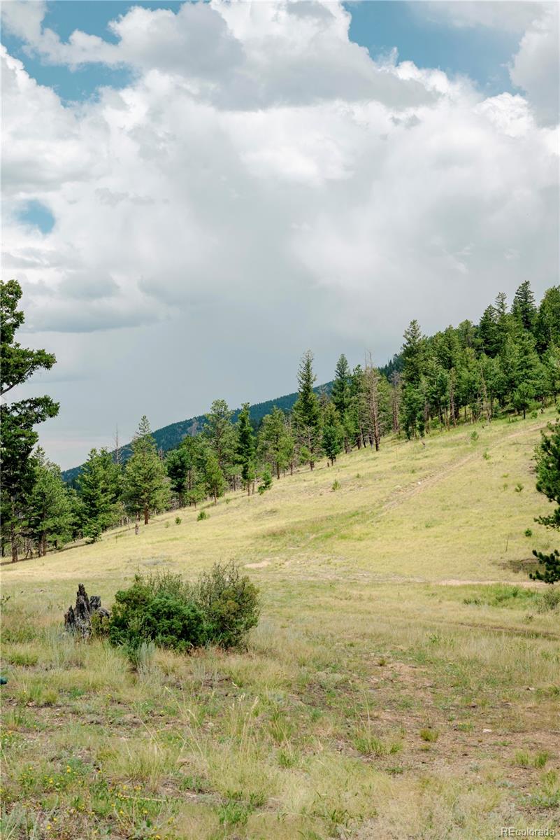 000 Hidden Wilderness Road