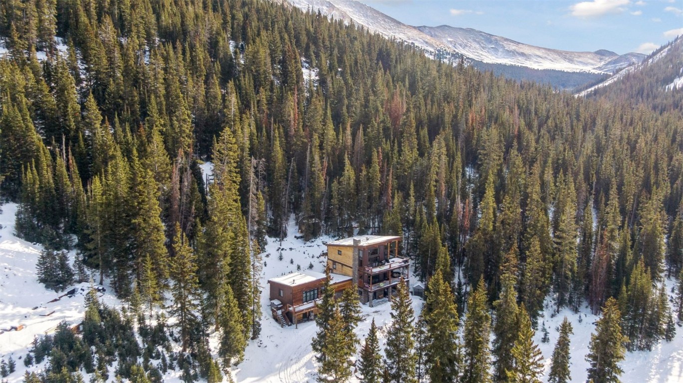 353 Bullion Mine ROAD