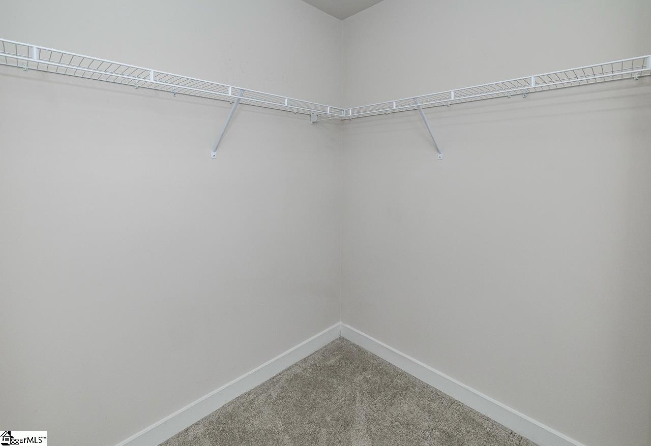 503 Roan Creek Trail