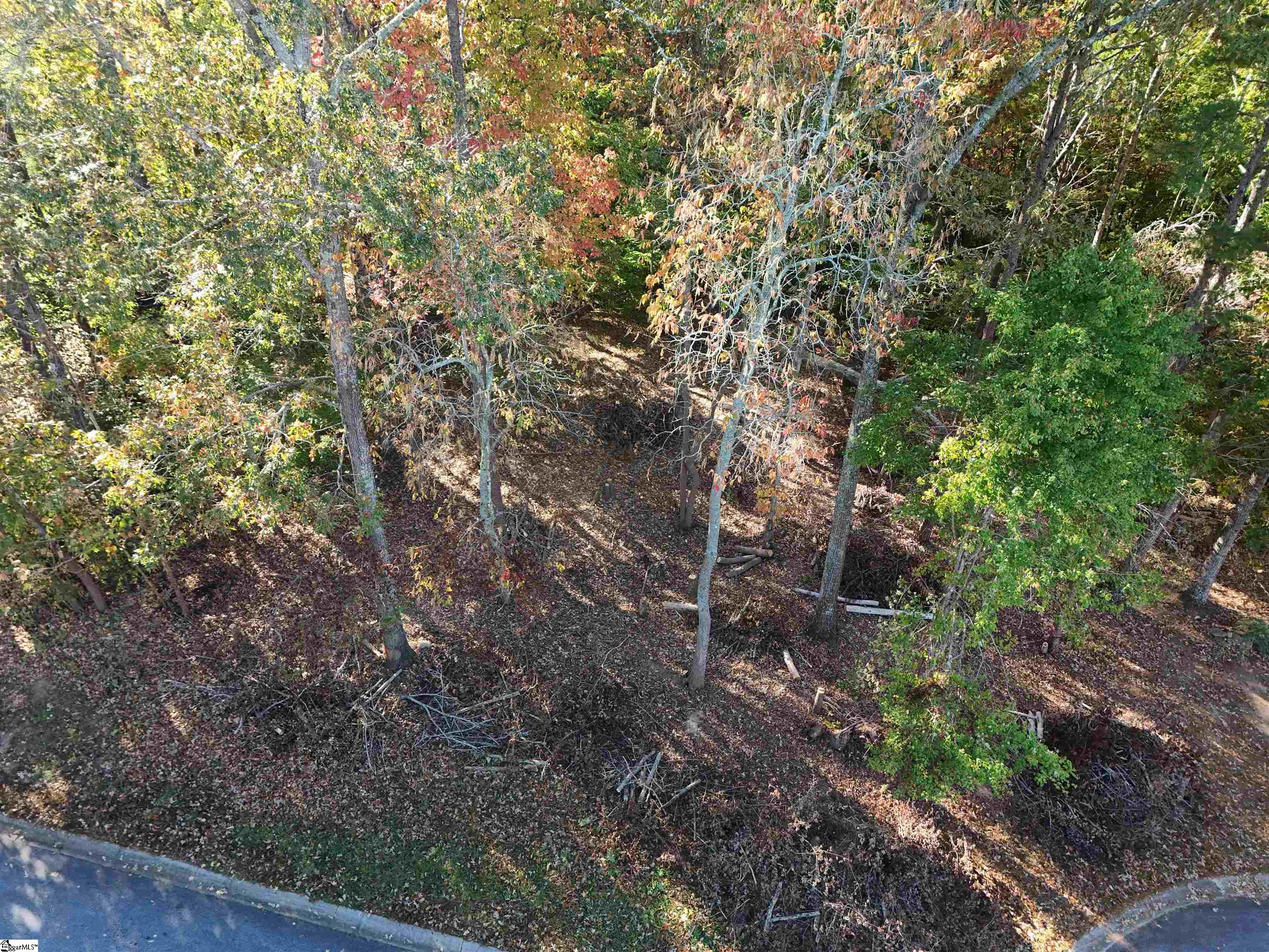 107 Woodland Hills Lane, Fountain Inn