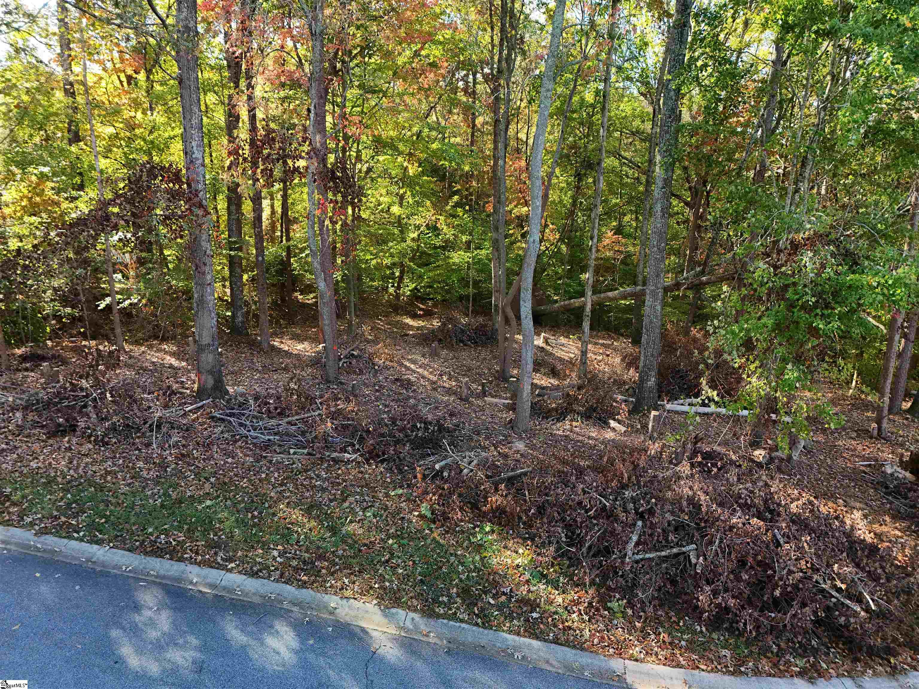 107 Woodland Hills Lane, Fountain Inn