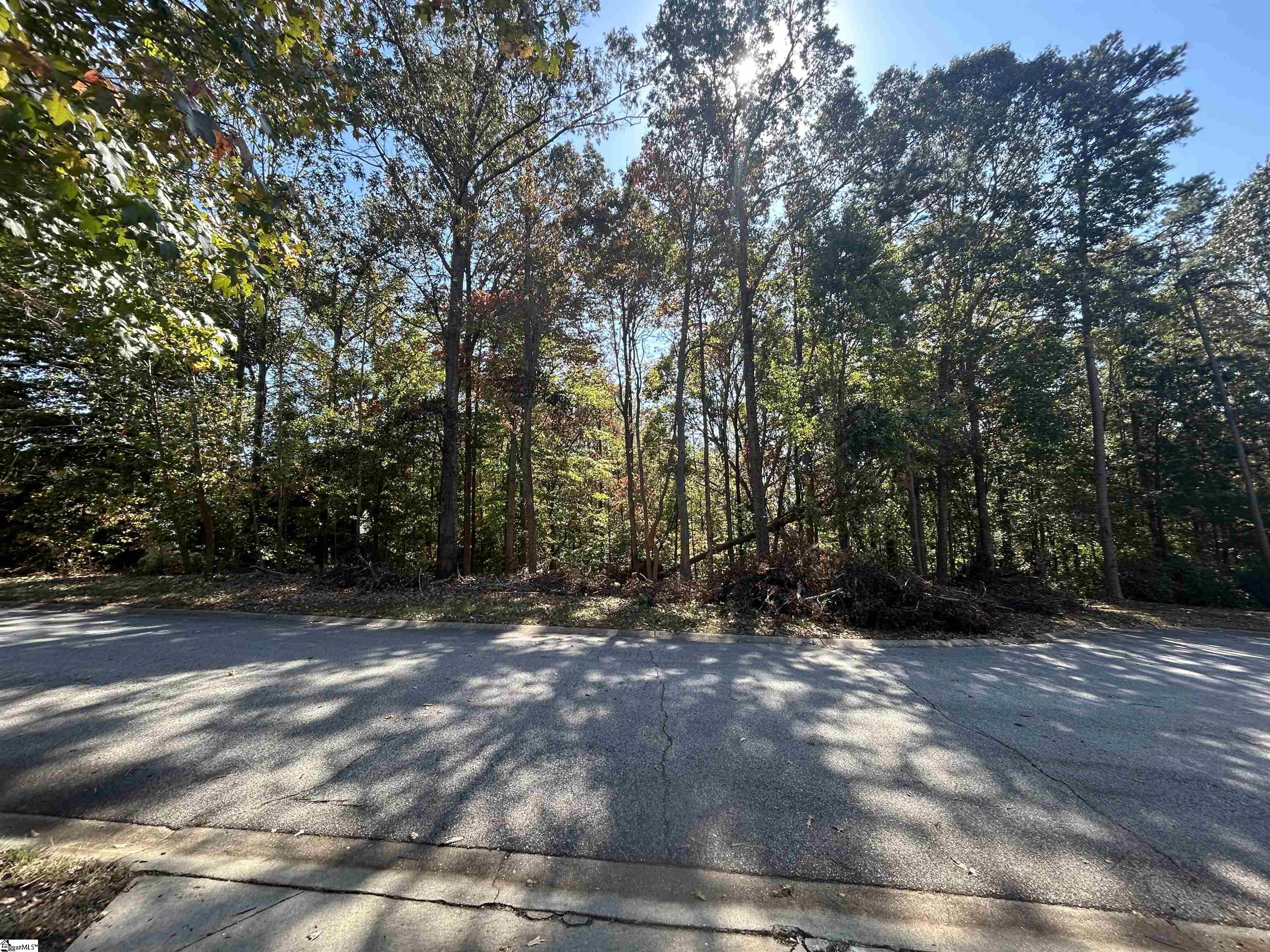 107 Woodland Hills Lane, Fountain Inn