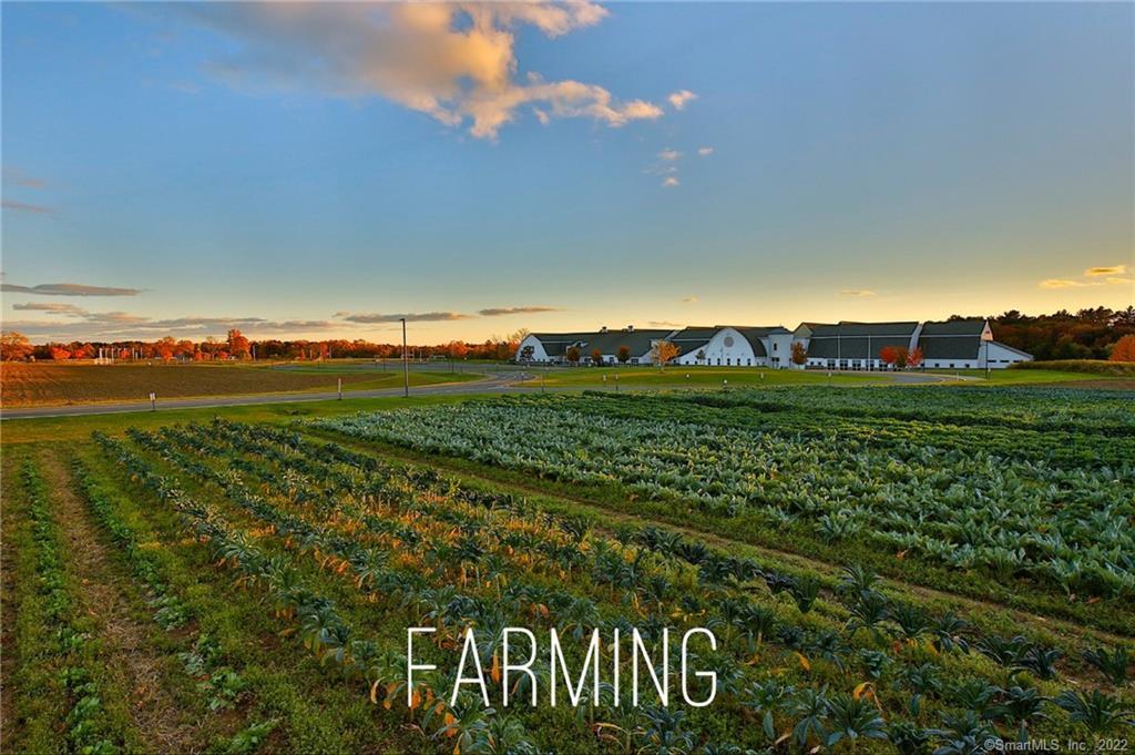 34 Far Horizon Drive