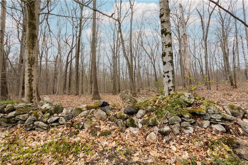 End of- Wood End Drive