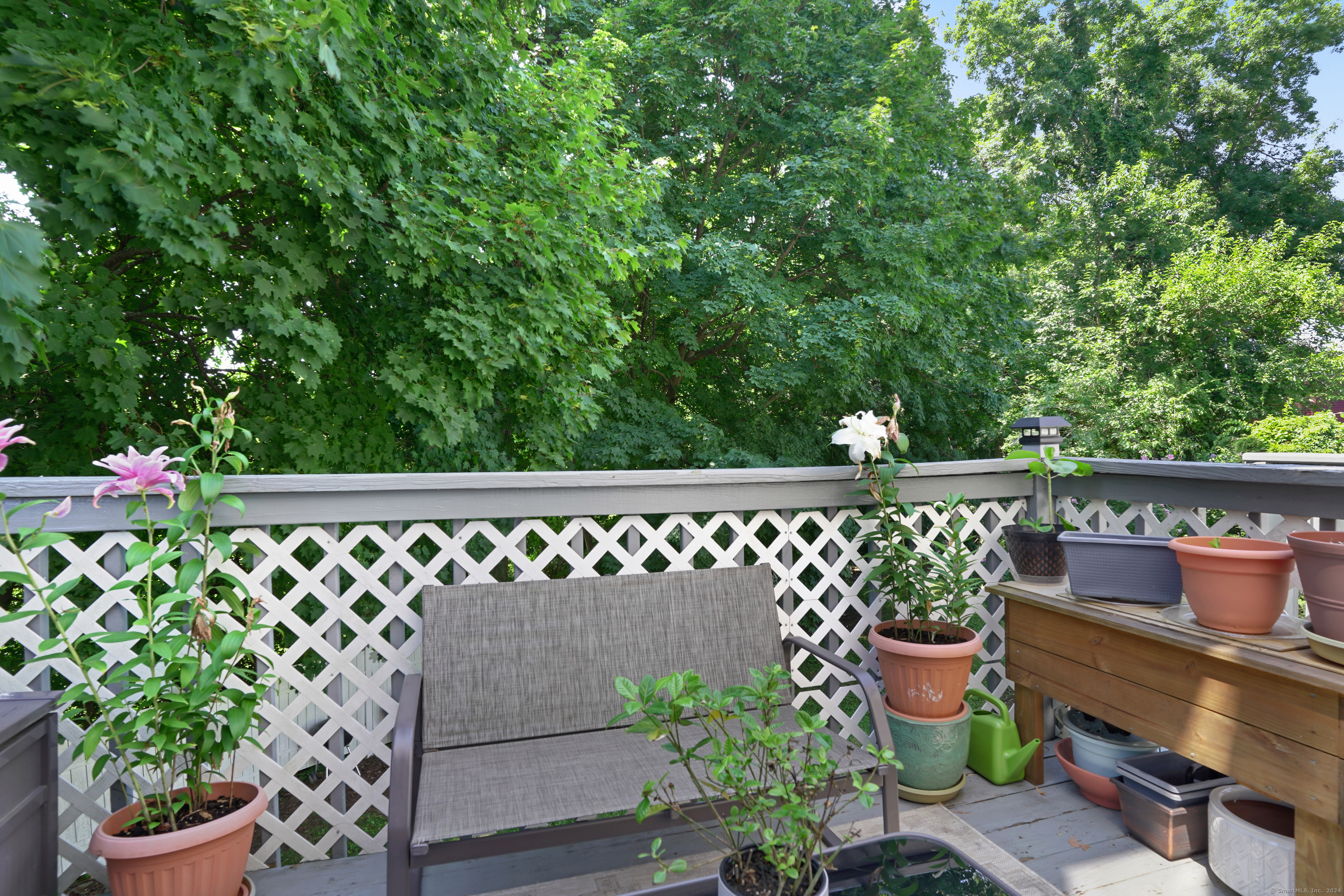 233 High Ridge Drive