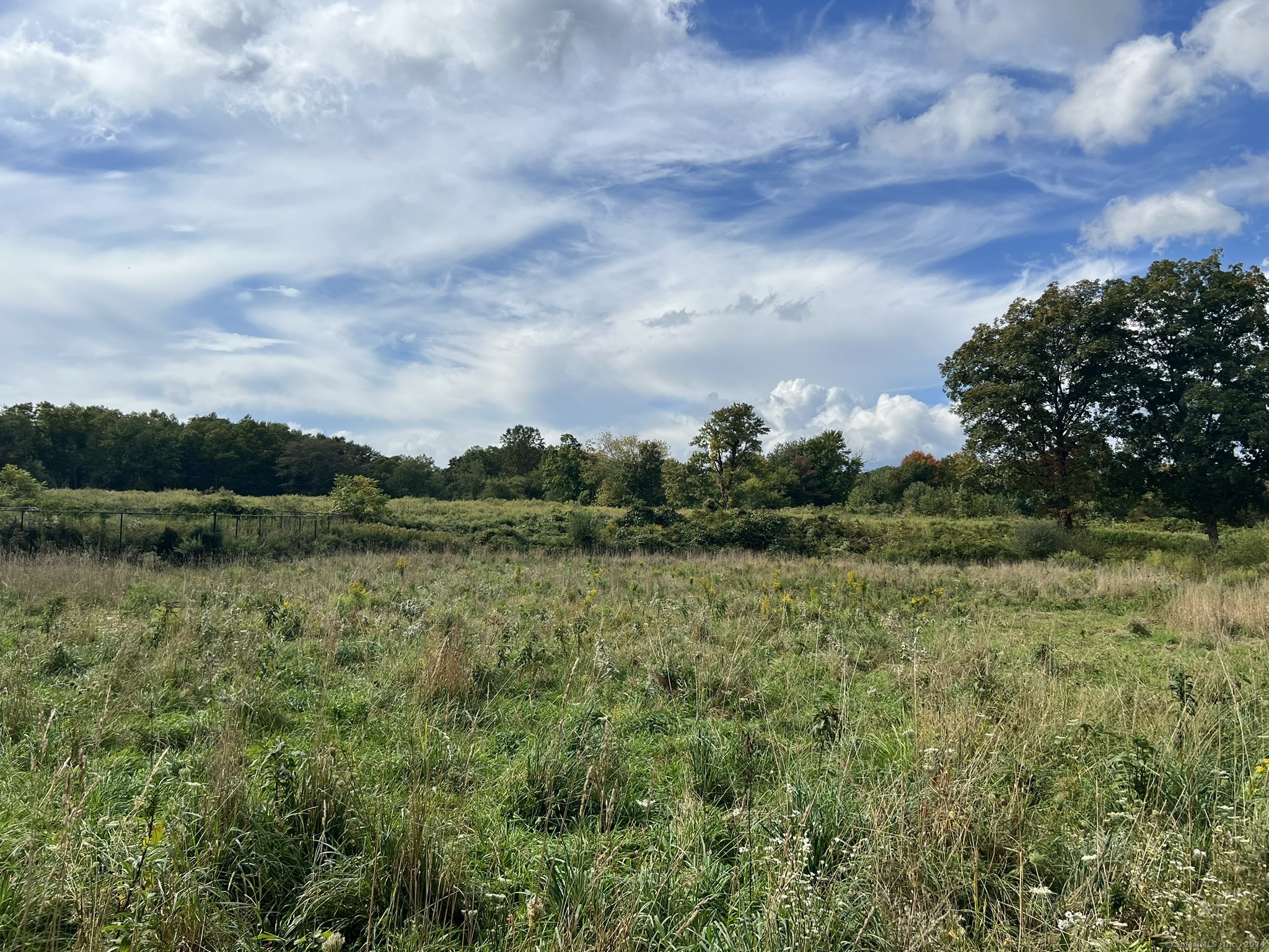20 Wilson Road