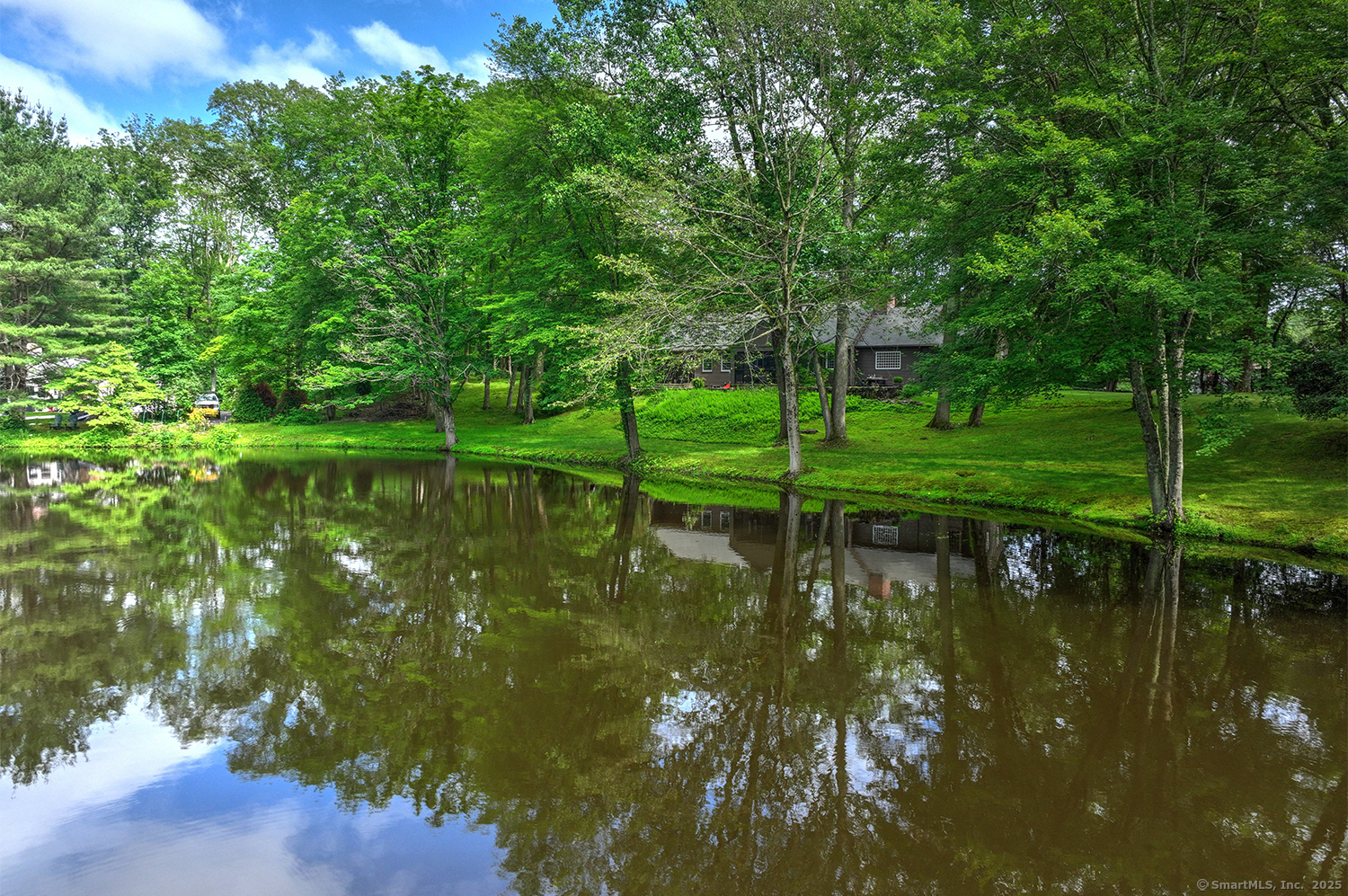 50 Pond Road