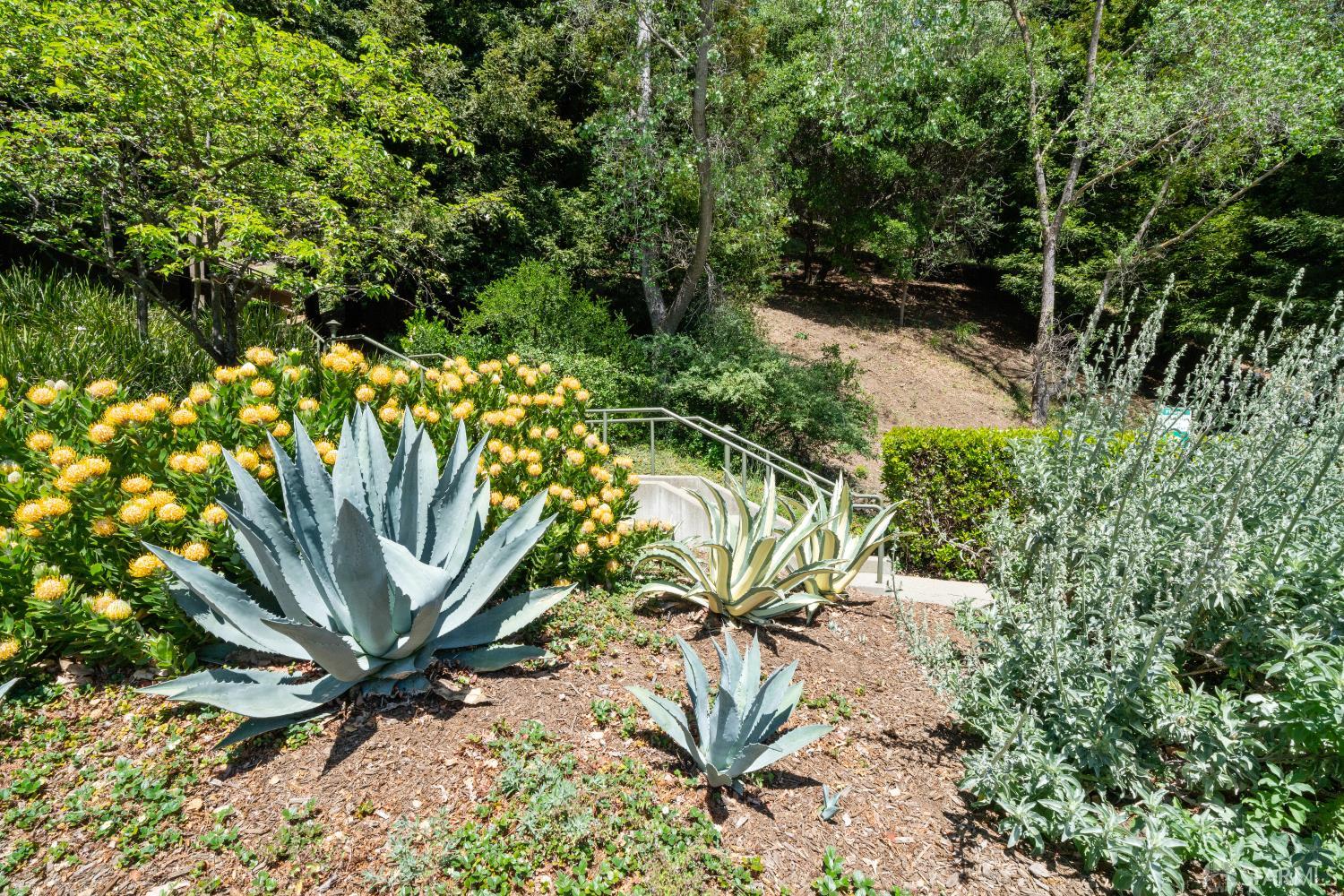 220 Caldecott Lane # 311