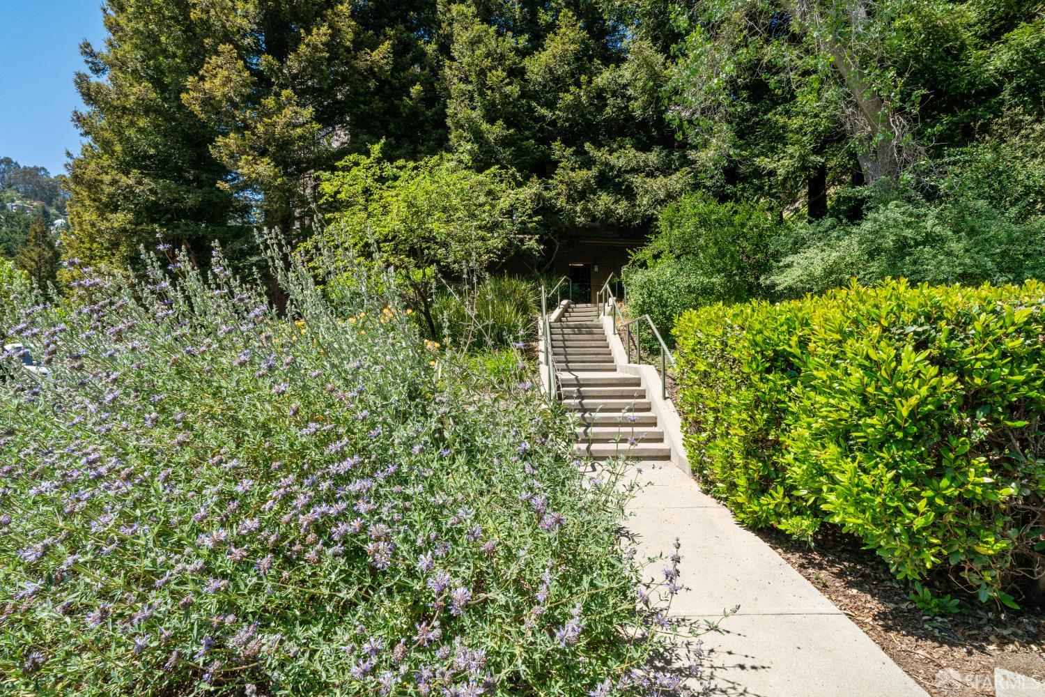 220 Caldecott Lane # 311