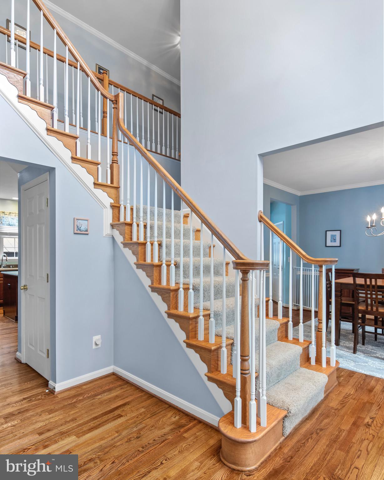 502 FANLEAF COURT