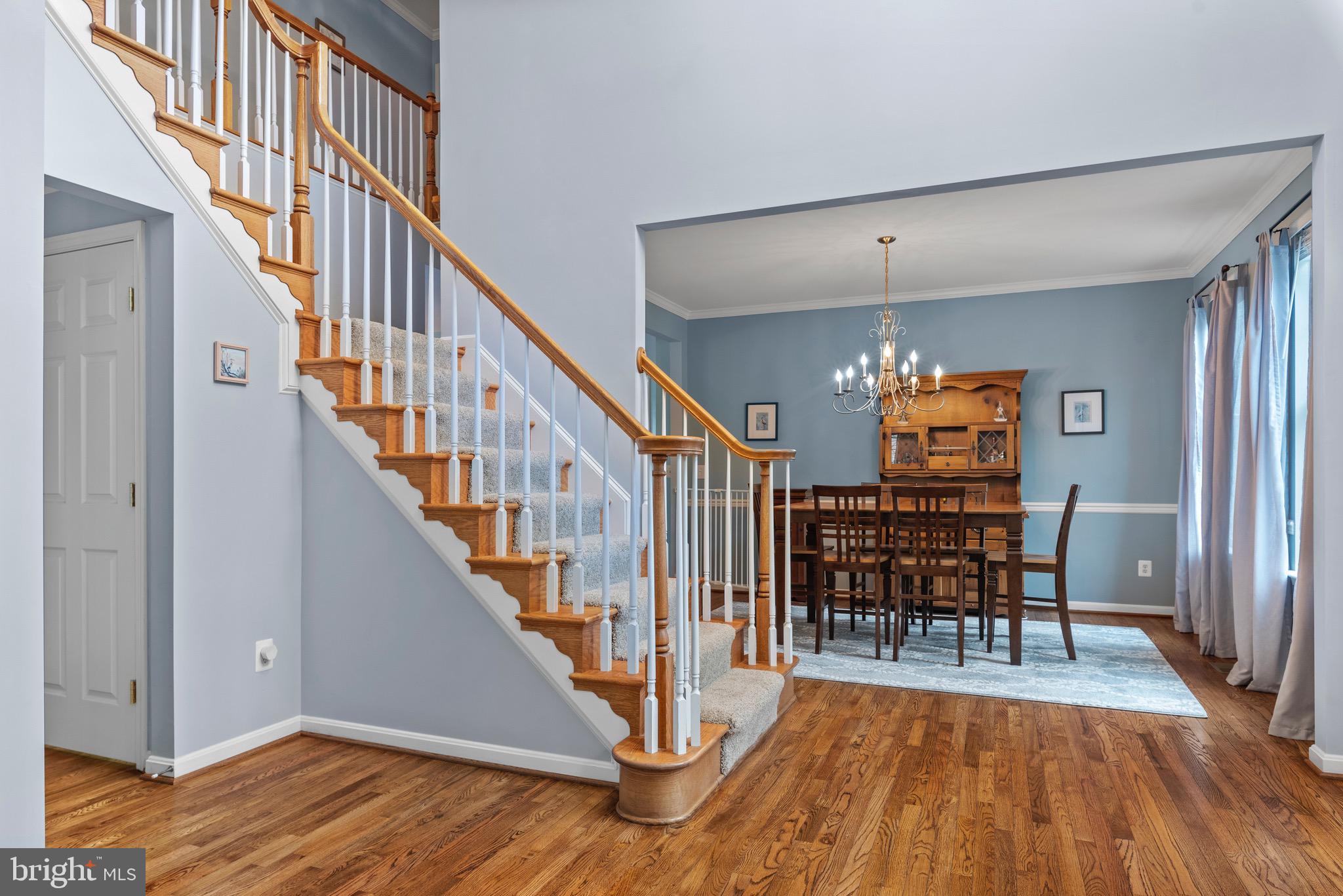 502 FANLEAF COURT