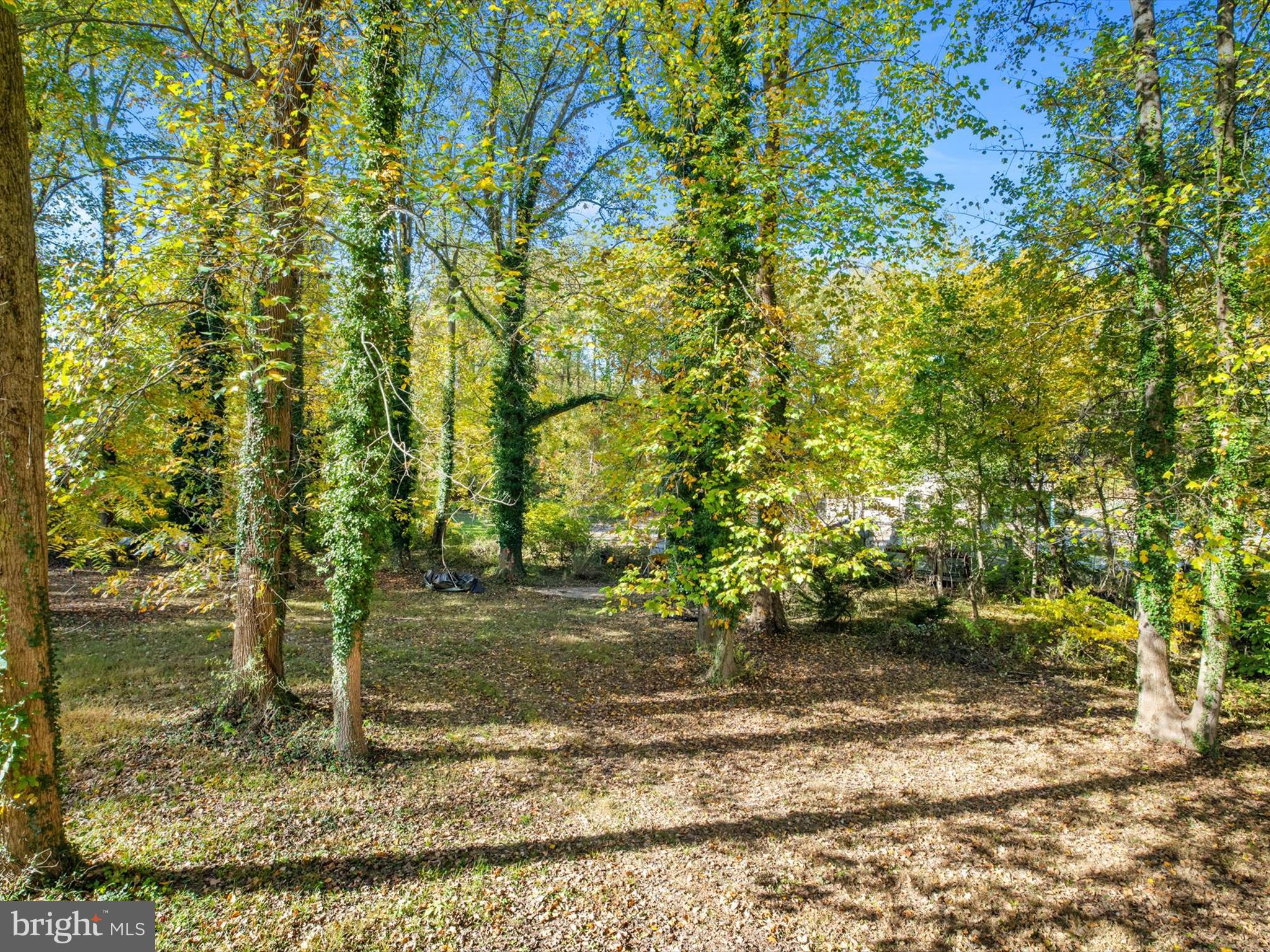 1207 ASQUITHPINES PLACE