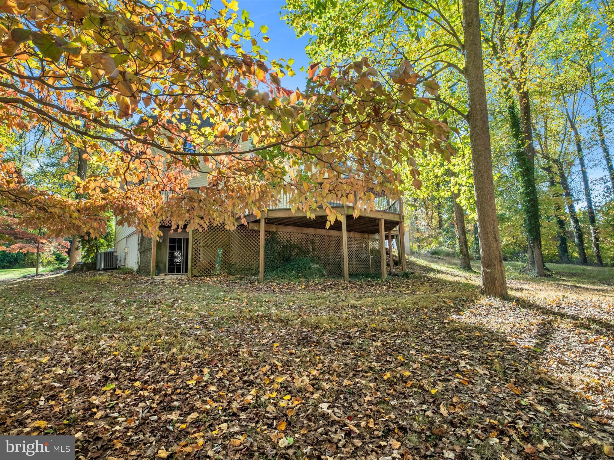 1207 ASQUITHPINES PLACE