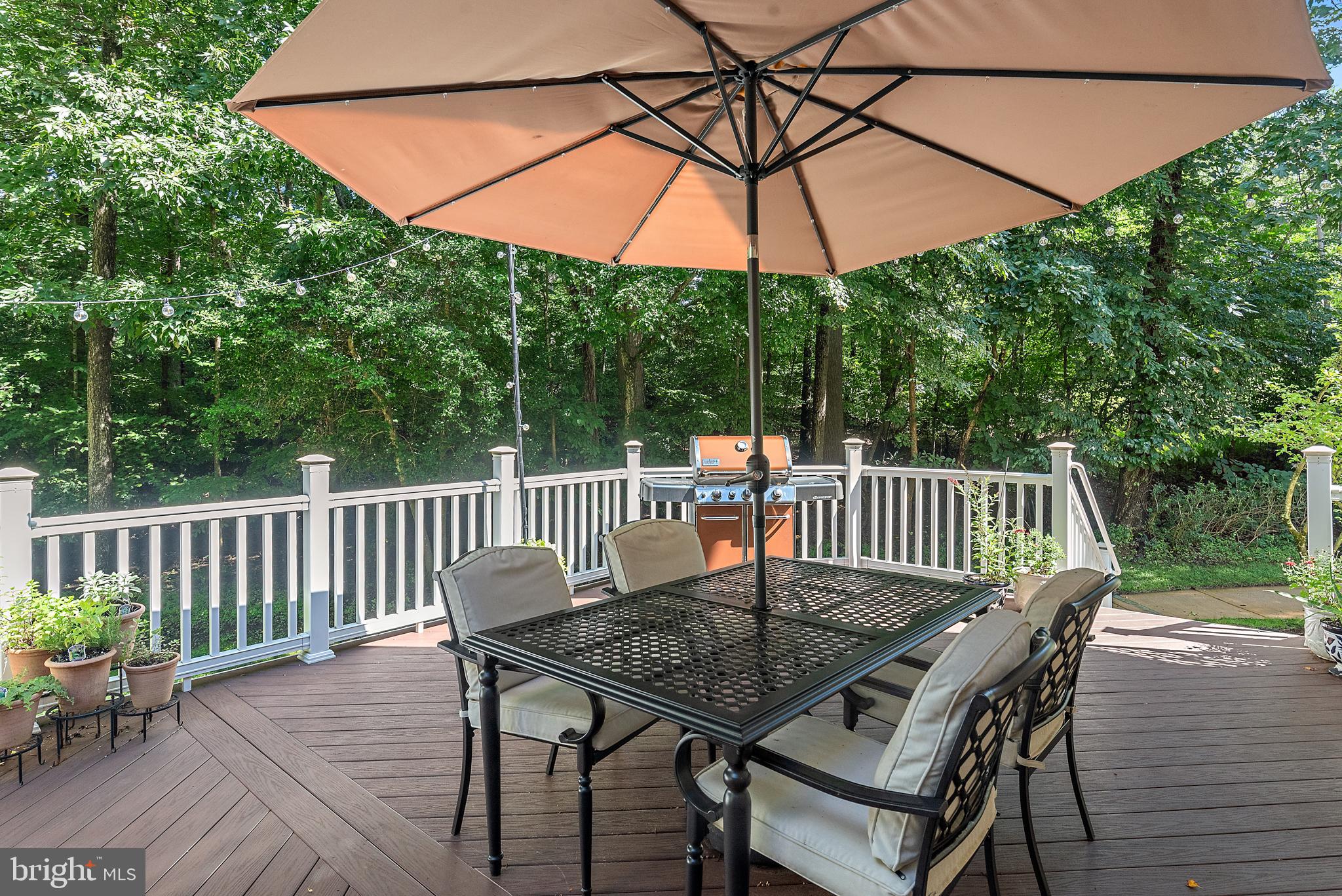 905 MALVERN HILL DRIVE