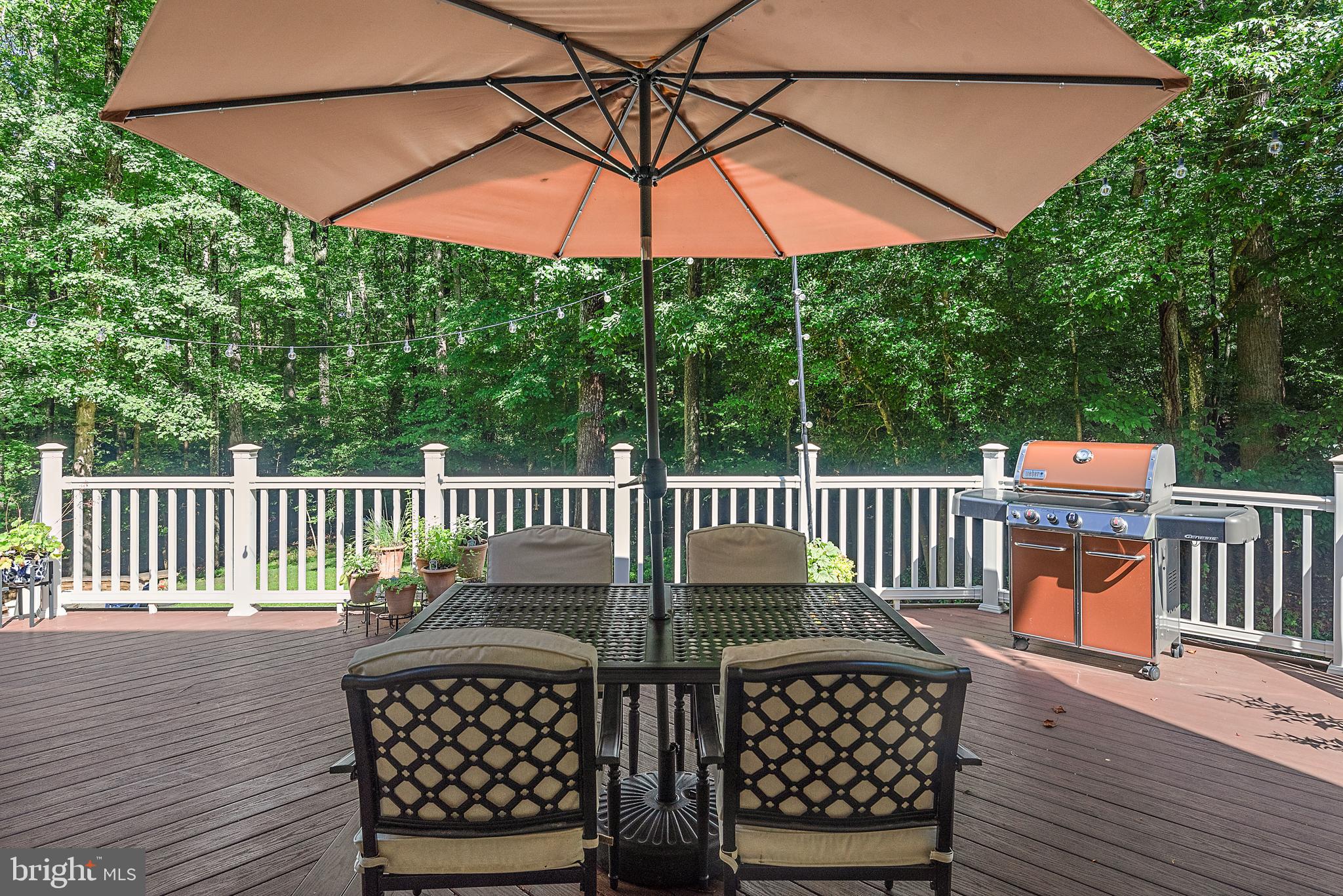 905 MALVERN HILL DRIVE