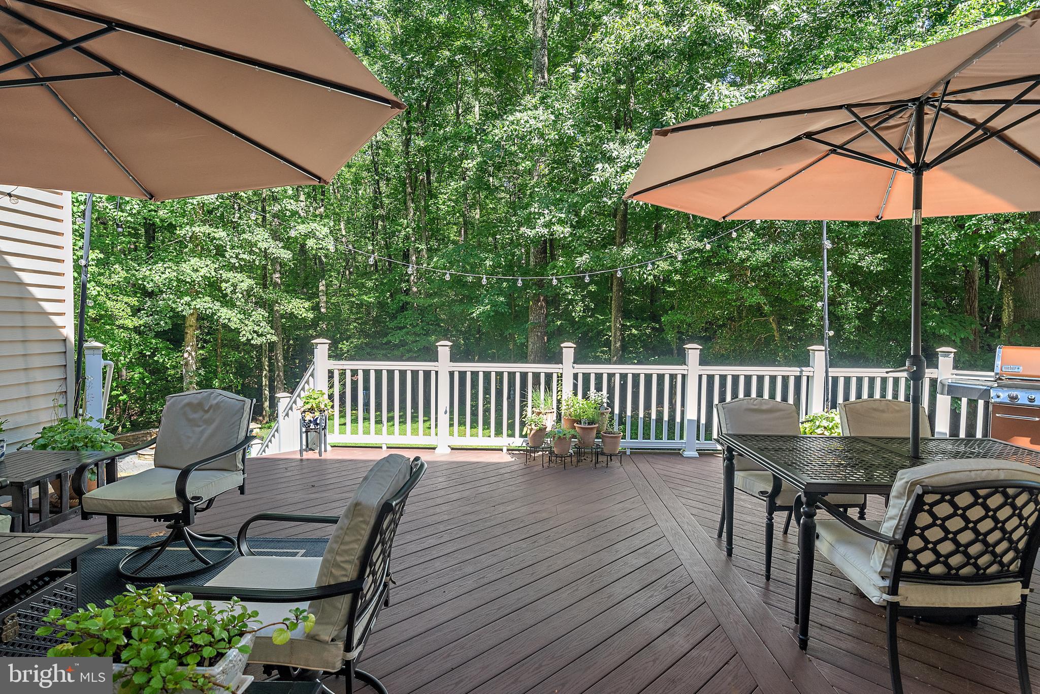 905 MALVERN HILL DRIVE